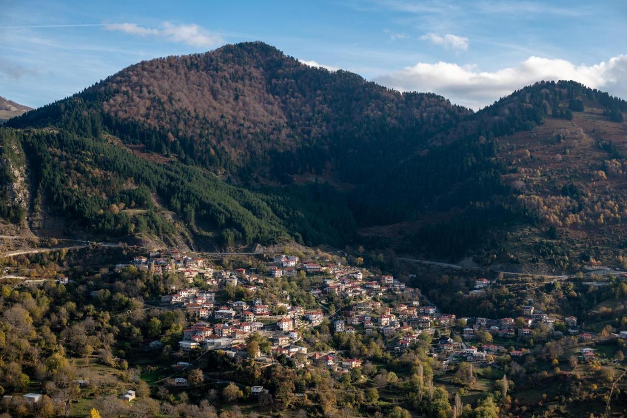 Hotel Kassaros Metsovo Exteriör bild